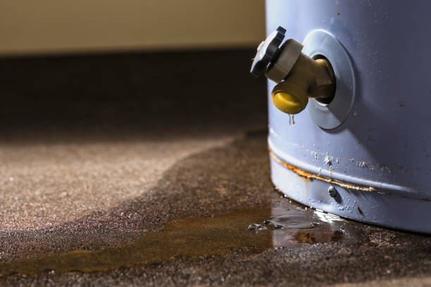Carpet water damage restoration in Knightstown, IN