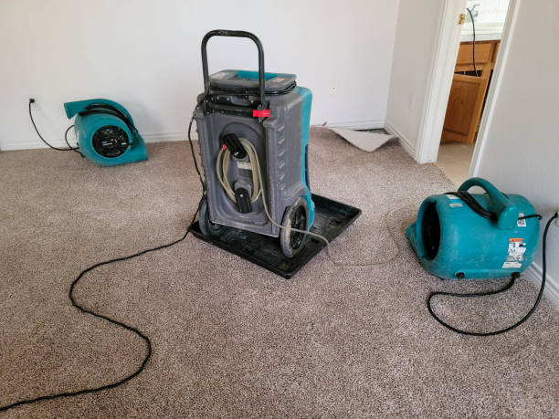 Professional Water damage restoration in Knightstown, IN