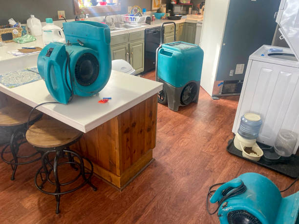 Best Water damage restoration experts  in Knightstown, IN