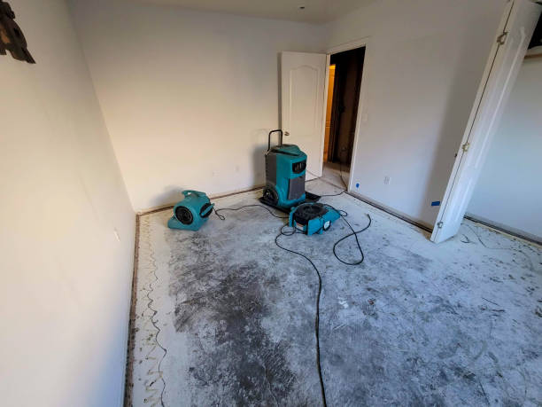 Best Flood damage cleanup  in Knightstown, IN